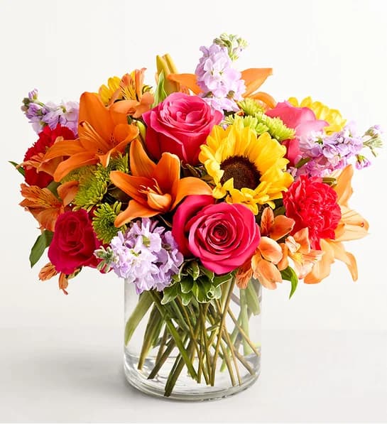 Sunflower & Rose Brights
