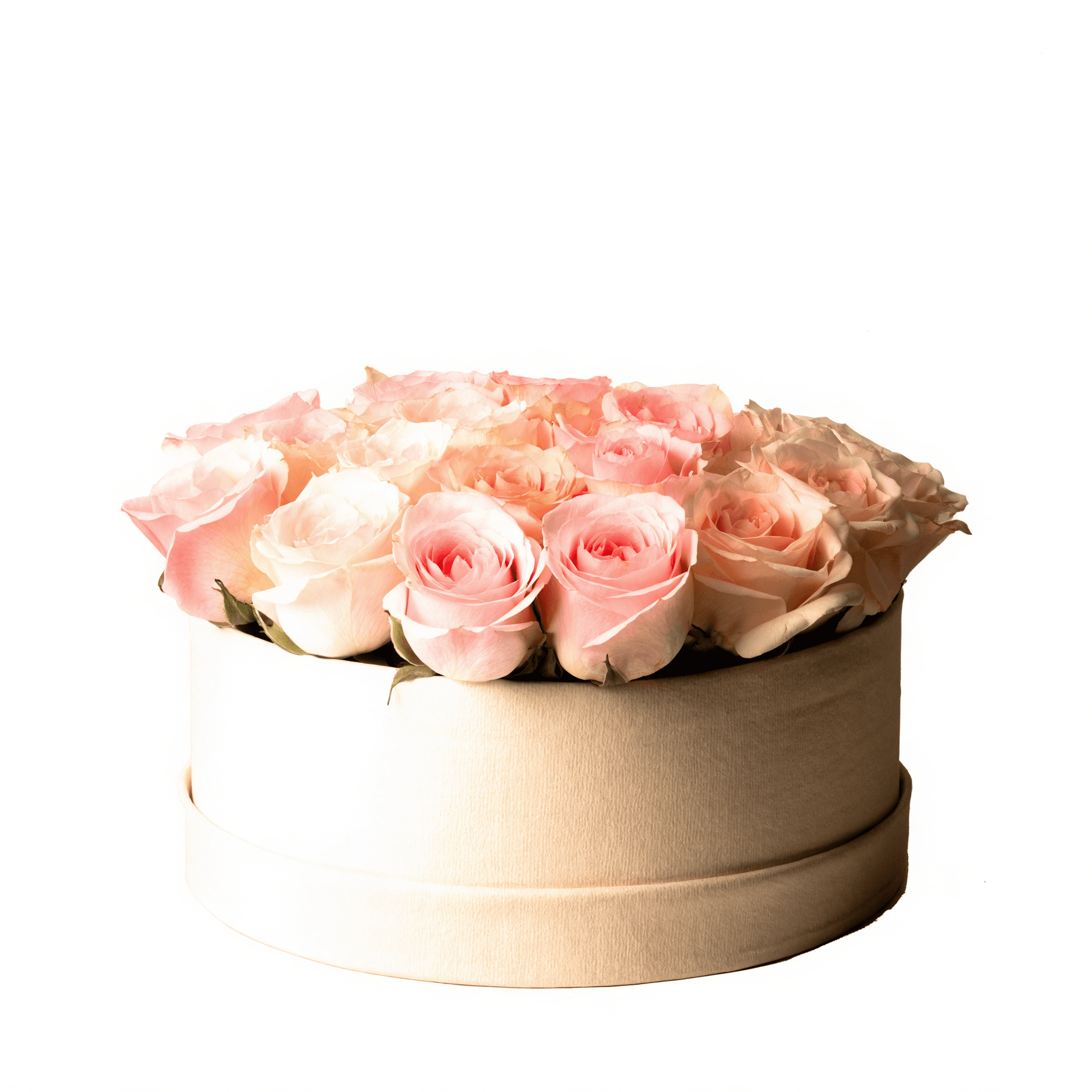 Desert Rose Hatbox